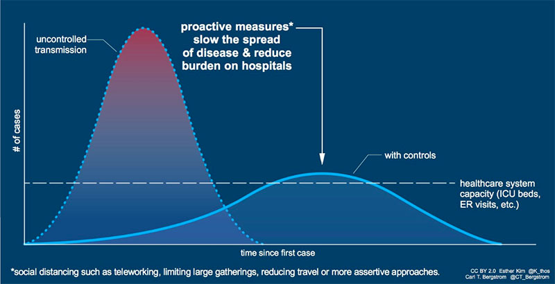 COVID-19 Coronavirus - Flattening the Curve