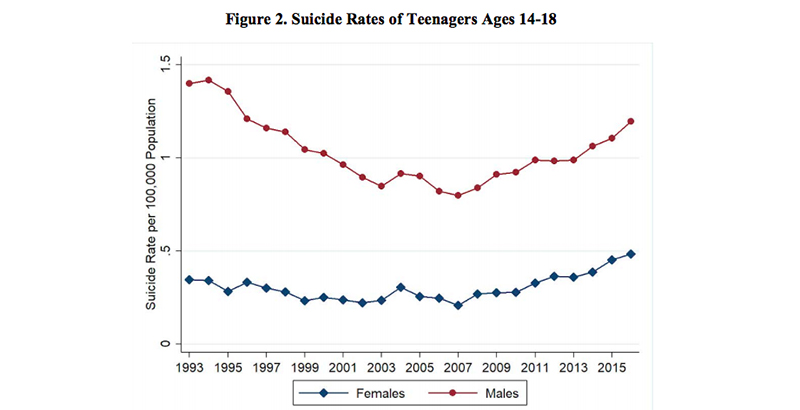 Teen Suicide Statistics 2013