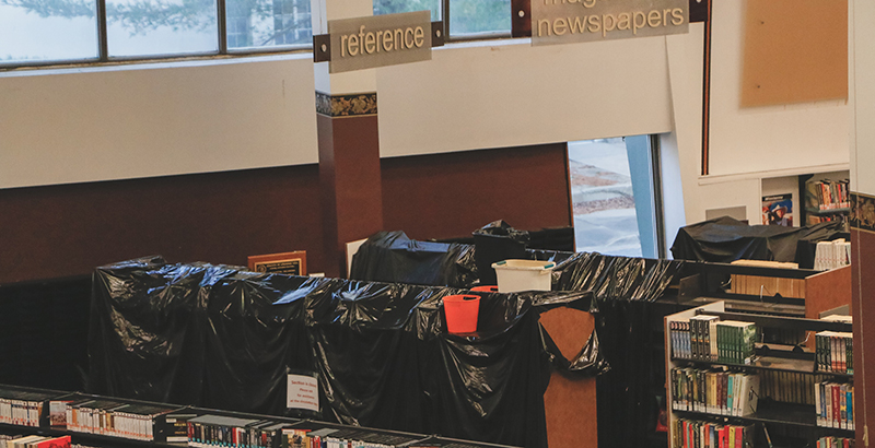 Leaky Roofs, Dangerous Plumbing, No Web: Advocates Say America’s Libraries Want  Billion for Infrastructure Upgrades