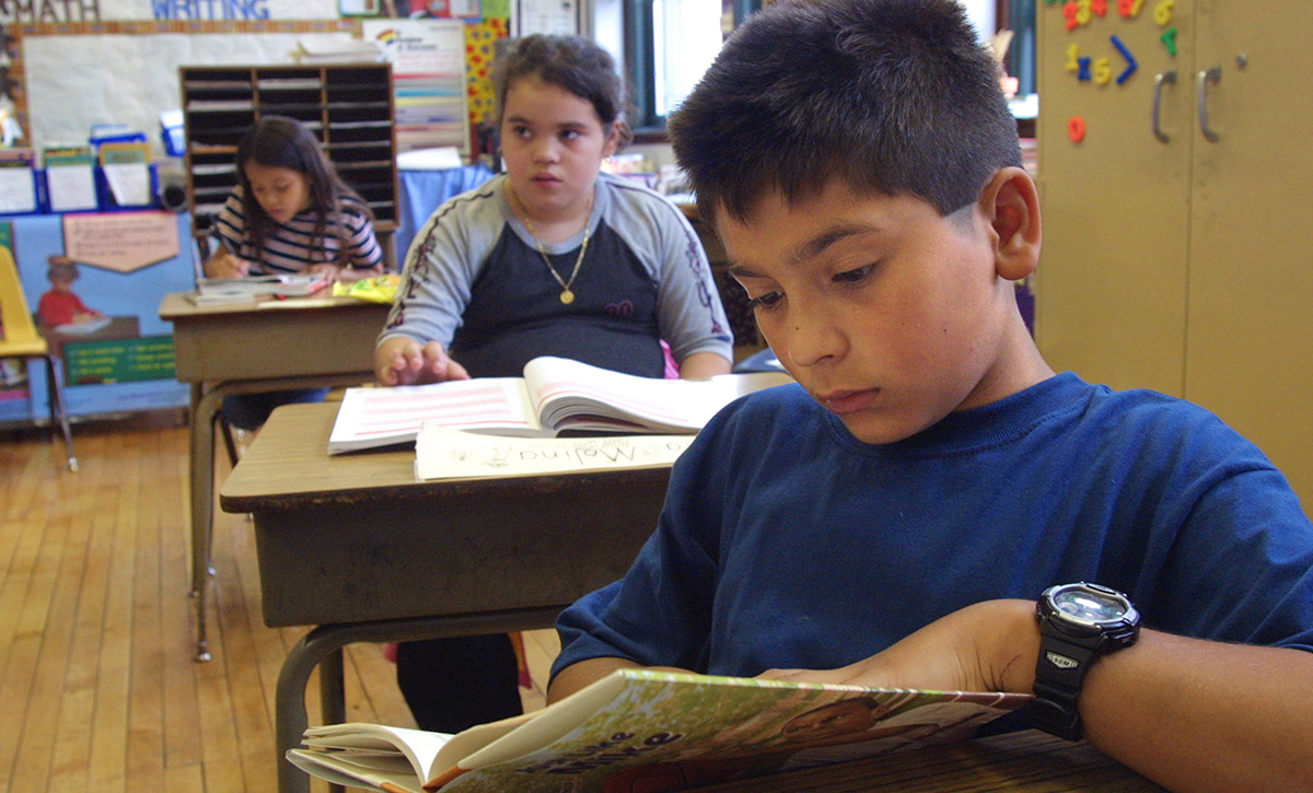 Two students in elementary school reading books at their desk