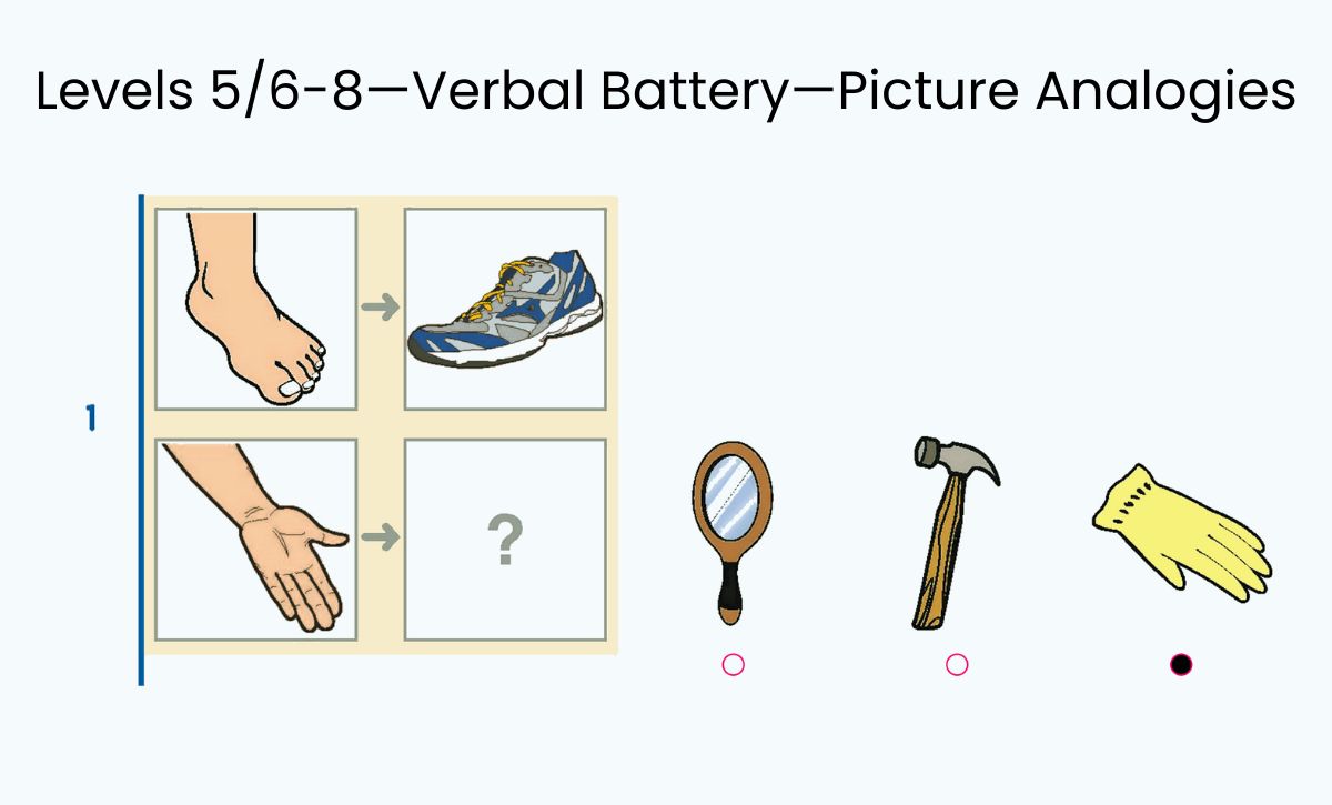 teacher-s-view-testing-ability-achievement-gives-insight-into-the-whole-child-the-74