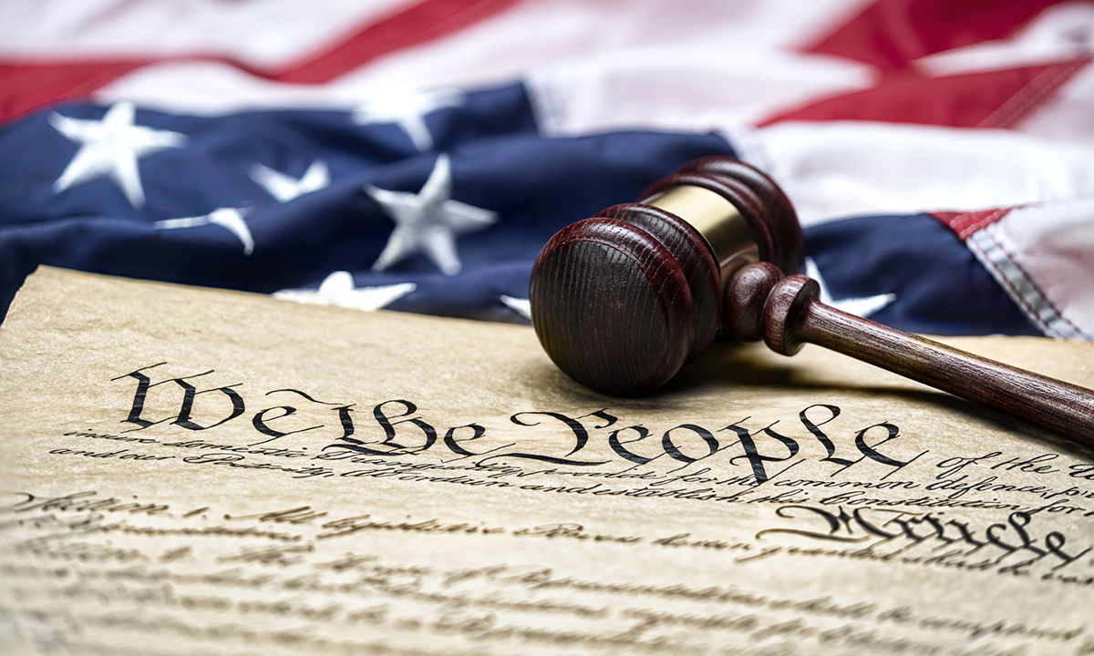 literary analysis essay of the us constitution