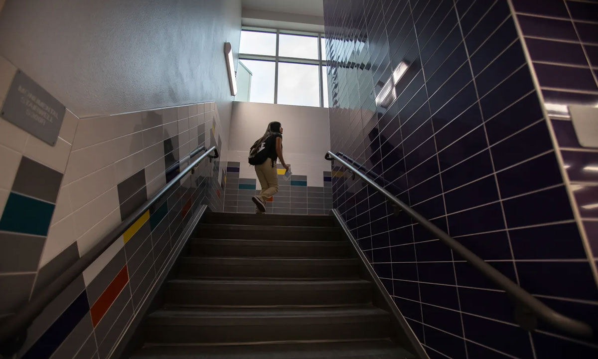 This photo shows a student walking up the stairs at school.