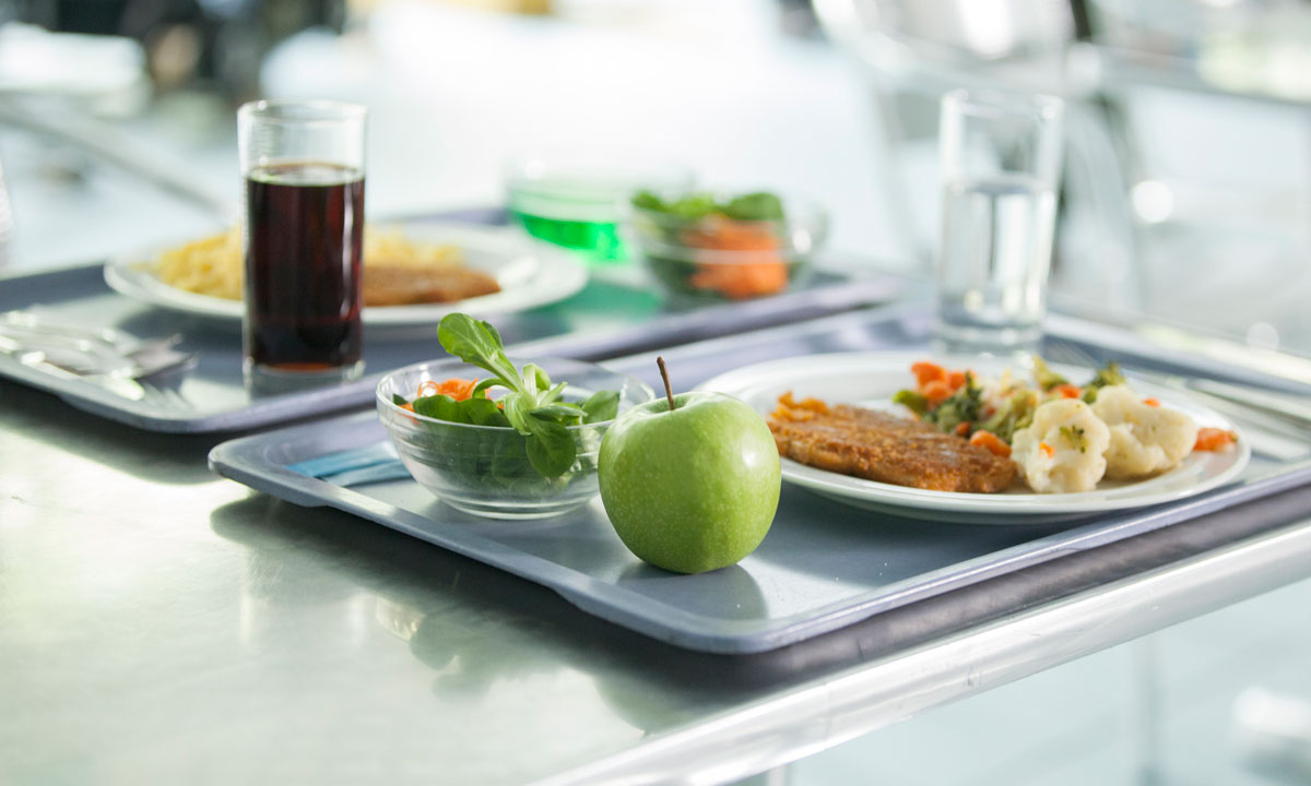 This is a photo of a lunch tray.