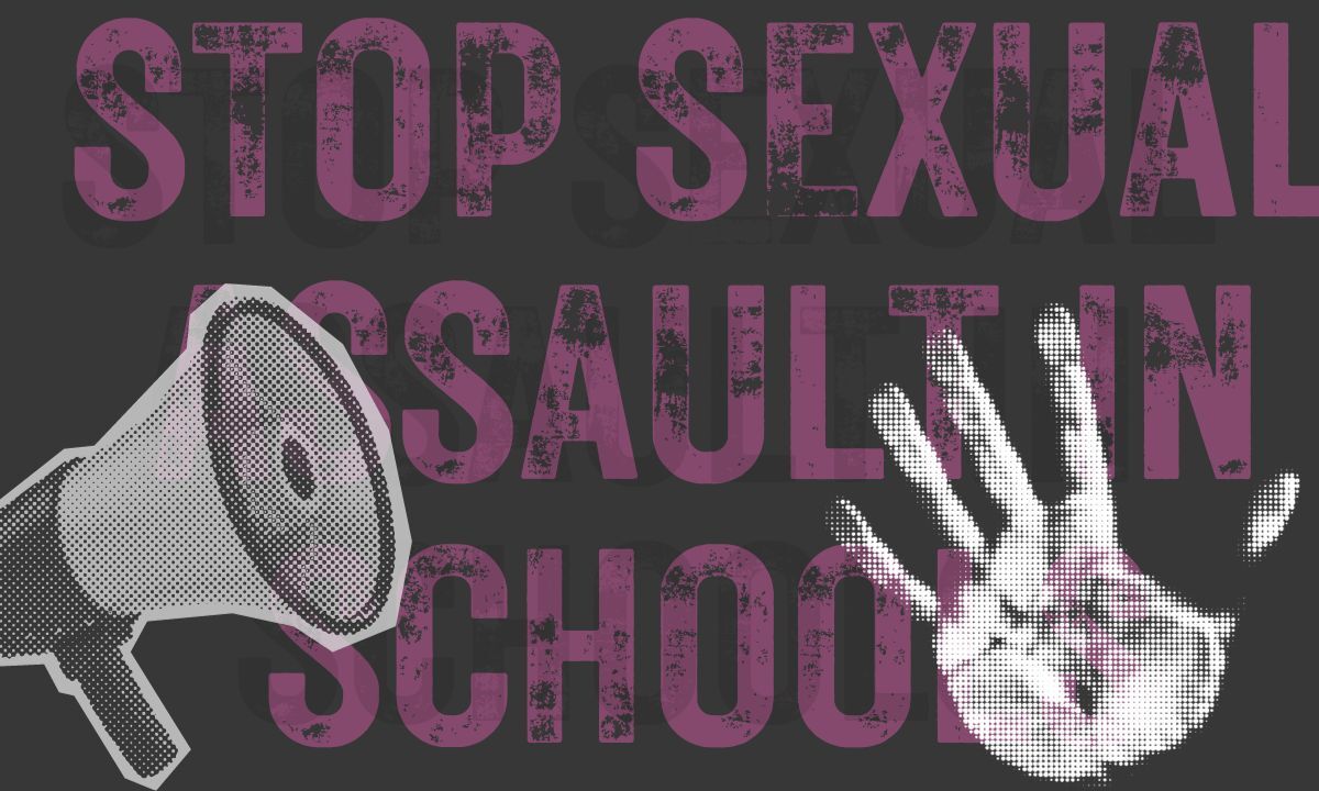 This is a graphic that says "Stop sexual assault in schools."